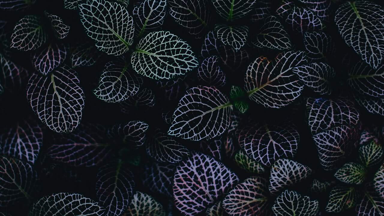 News und Updates kommen bei Interesse hier rein